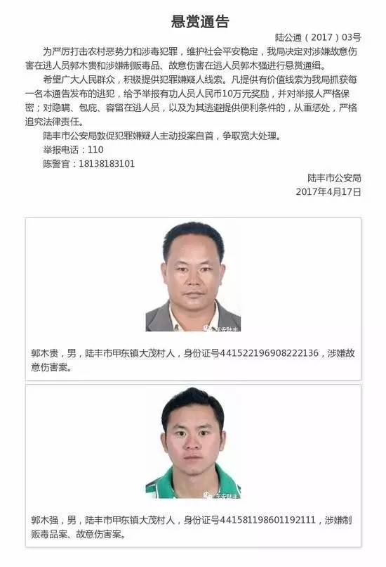 广东陆丰最新新闻热线，聚焦地方动态，传递时代声音速递