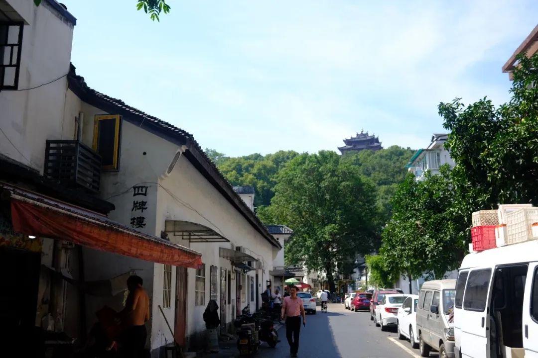 犬马之劳 第8页