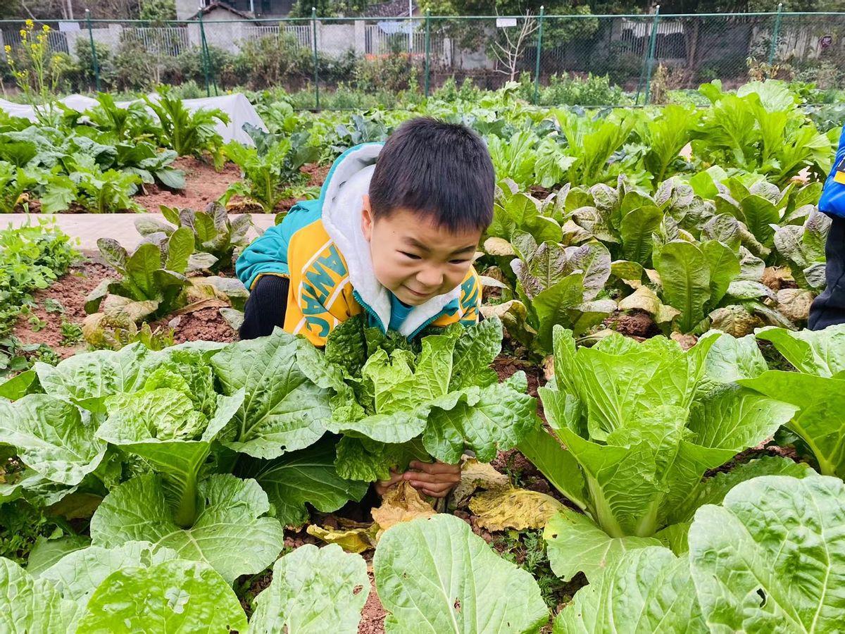 简阳最新个人门市出售信息速递