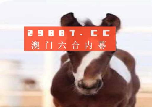 犯罪违法 第5页