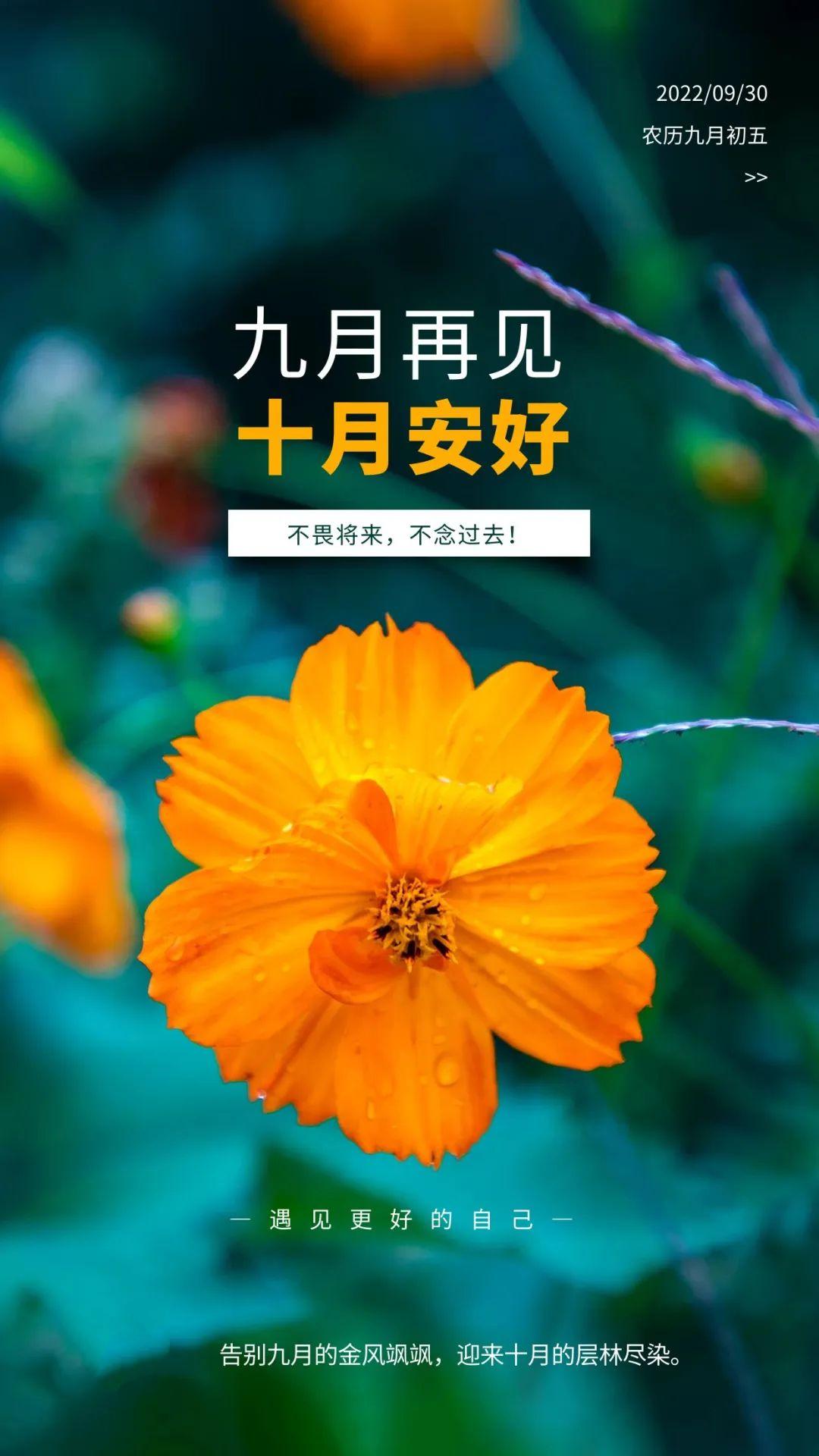 九月阳光最新作品，探索创新与卓越的极致界限