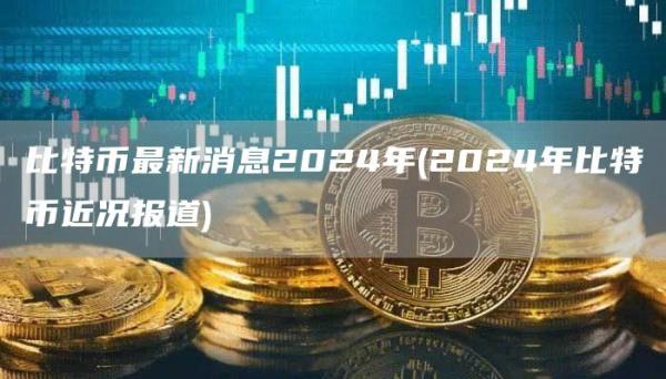 2024香港全年免费资料公开_比特币最新信息,实地研究解释定义_挑战版12.24.56