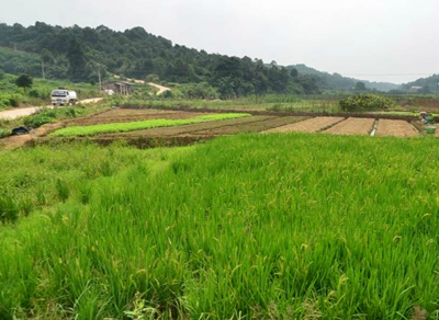 香港免费资料最准的_甘肃省国有林场改革最新消息,高速响应计划执行_方案版6.60.37