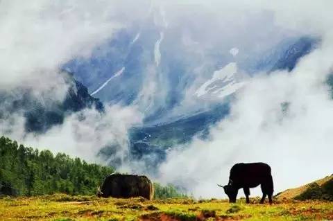 央行最新通知,一场心灵与自然的美景之旅,是时候远离尘嚣了!