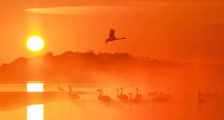 央行最新通知,一场心灵与自然的美景之旅,是时候远离尘嚣了!
