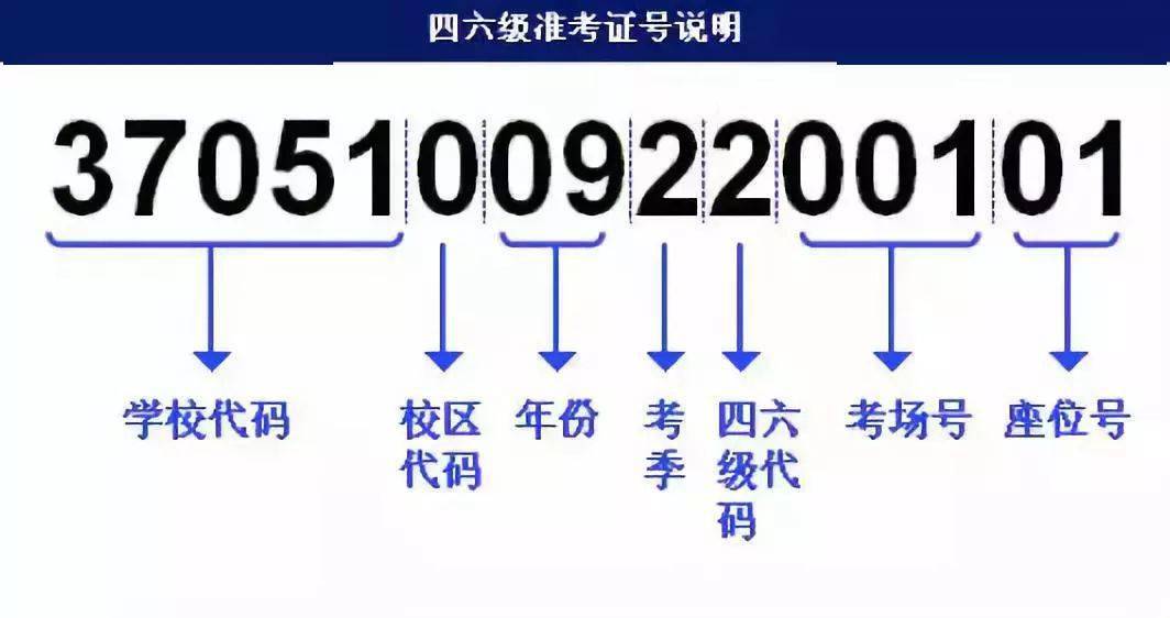 澳门4949开奖结果最快,什么是USDT全面解答_暴化境DLW797.714