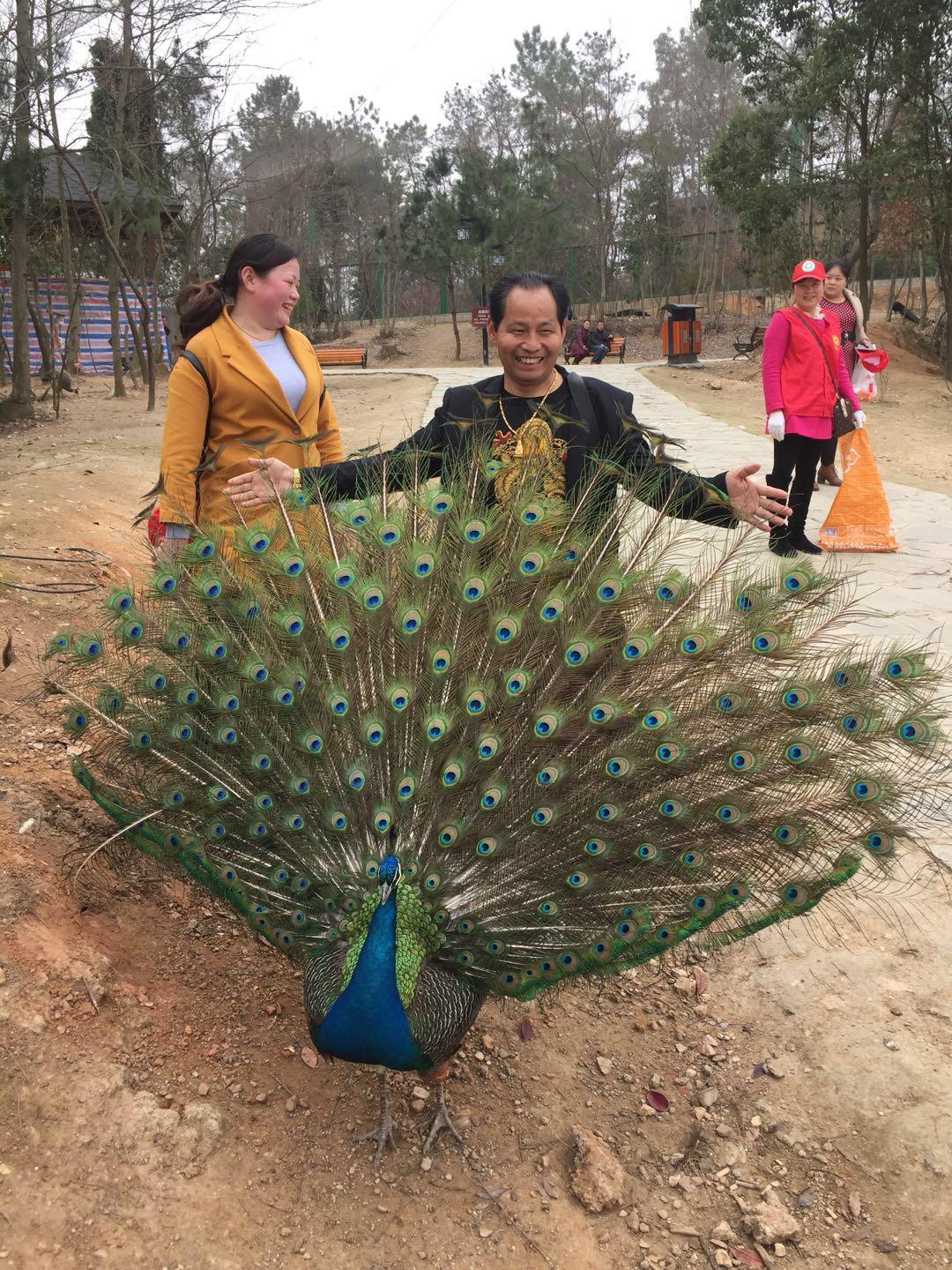 驾校最新新闻,绿色之旅,探索自然美景的宁静力量
