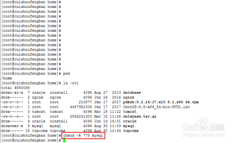 SGL181.56绿色版深度解析:内部资料汇编及全新方案解读
