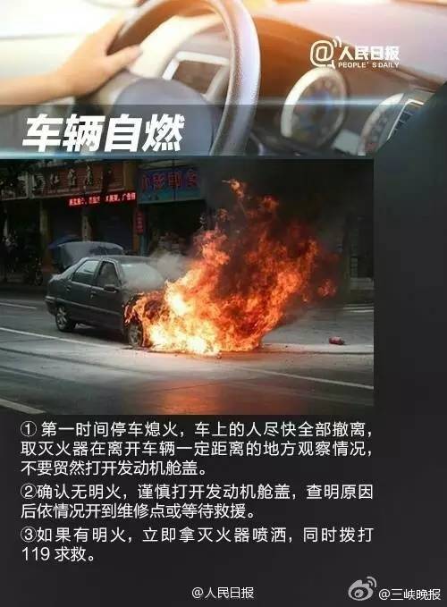 宜兴最新驾驶员招聘,路上的奇遇与友情的绽放之旅