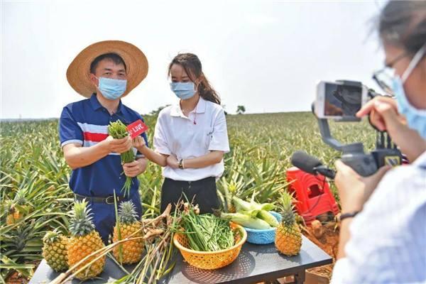 干豆角直播，探索农业直播的新纪元