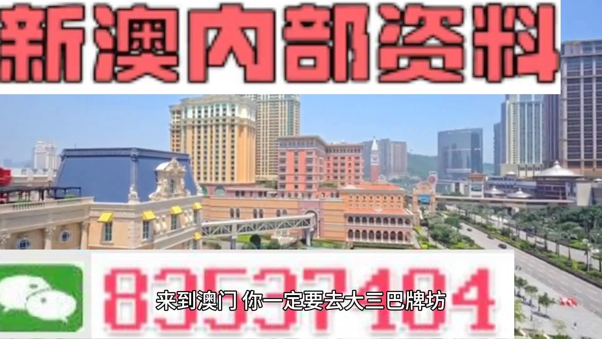 2024年新澳门资料永久免费公开，详细解答与实施解读_WHG1.74.85专业版