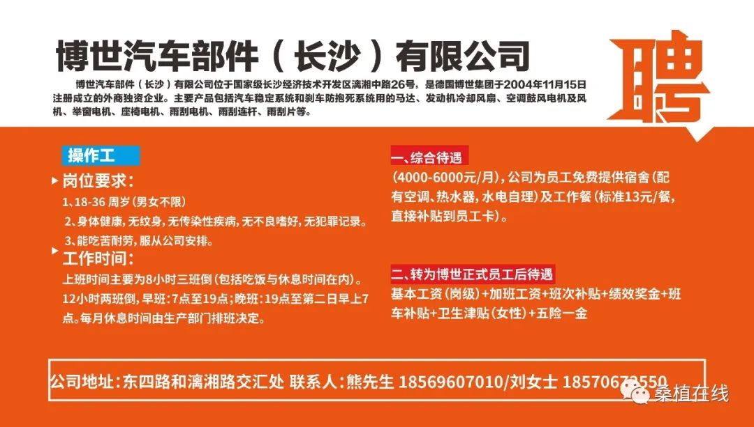 长沙小车司机最新招聘信息及观点论述解析