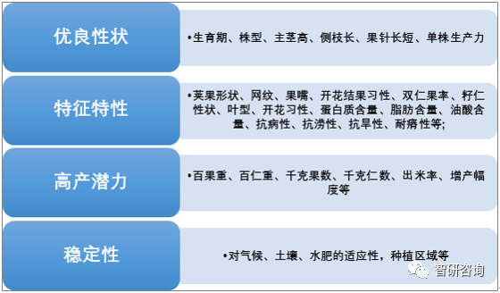 2024年开奖记录回顾：WNU7.25.82穿戴版专业执行分析