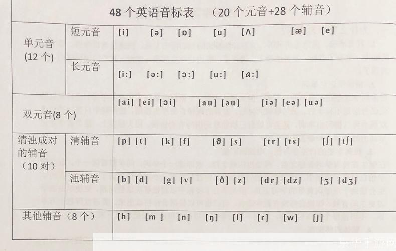 最新小学音标教学视频步骤指南