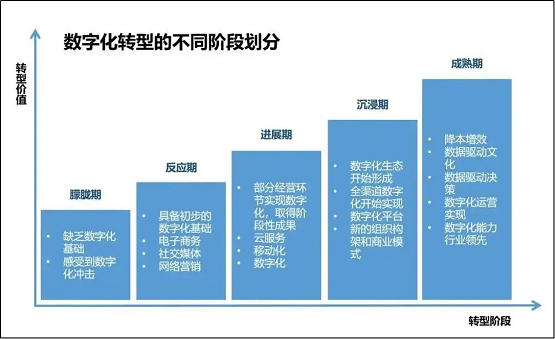 一肖12码中特期准,科学数据解读分析_RRS94.279父母版