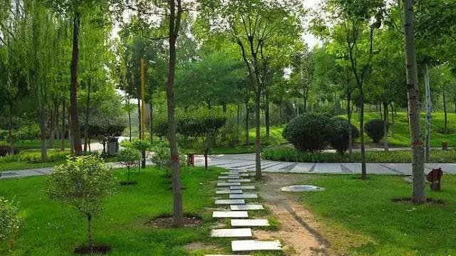 太原瓦窑村最新动态,观点阐述与发展展望