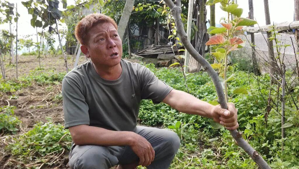 218年最新致富门路论述