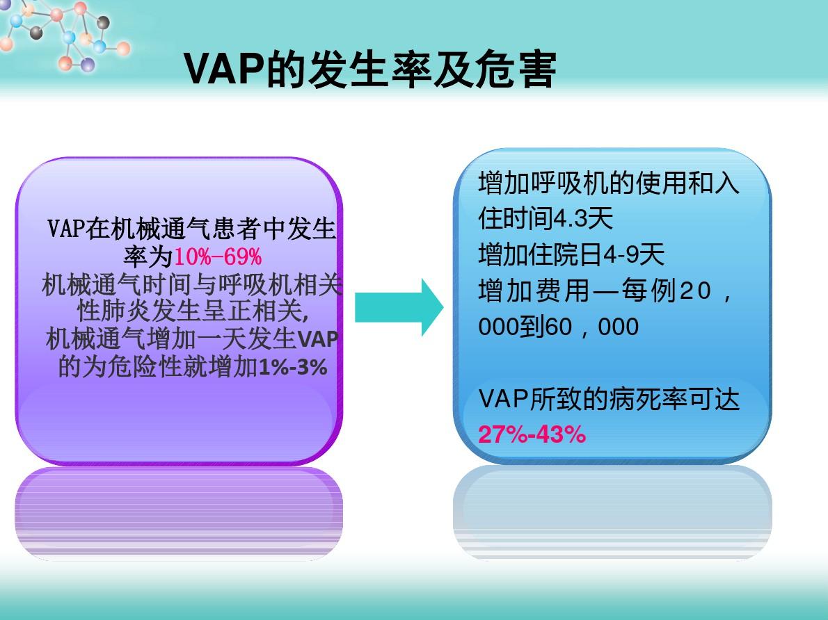 vap预防最新指南2024