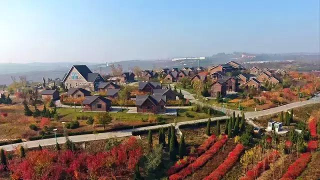 单枪匹马 第3页