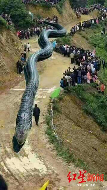 四川地震网最新消息今天，多方观点分析与个人立场