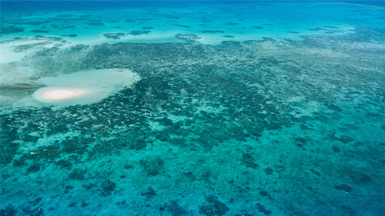 新澳2024正版免费资料,持续性实施方案_桌面款62.155