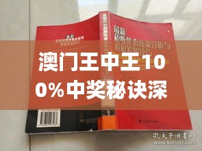新澳门王中王100%期期中,灵活性执行方案_社交版33.994
