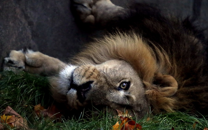 一落千丈 第2页