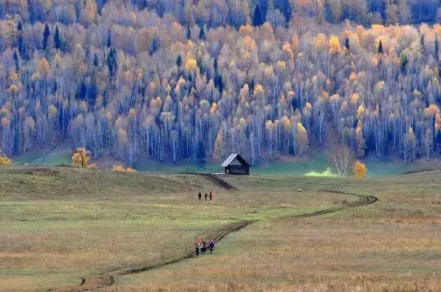 星杏奈最新之旅，探索自然美景的力量与寻找内心的宁静