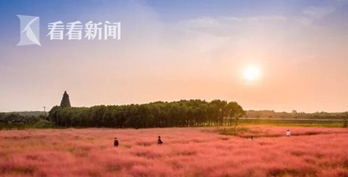 车库最新型，一场自然美景的探寻之旅，启程，发现内心的平静