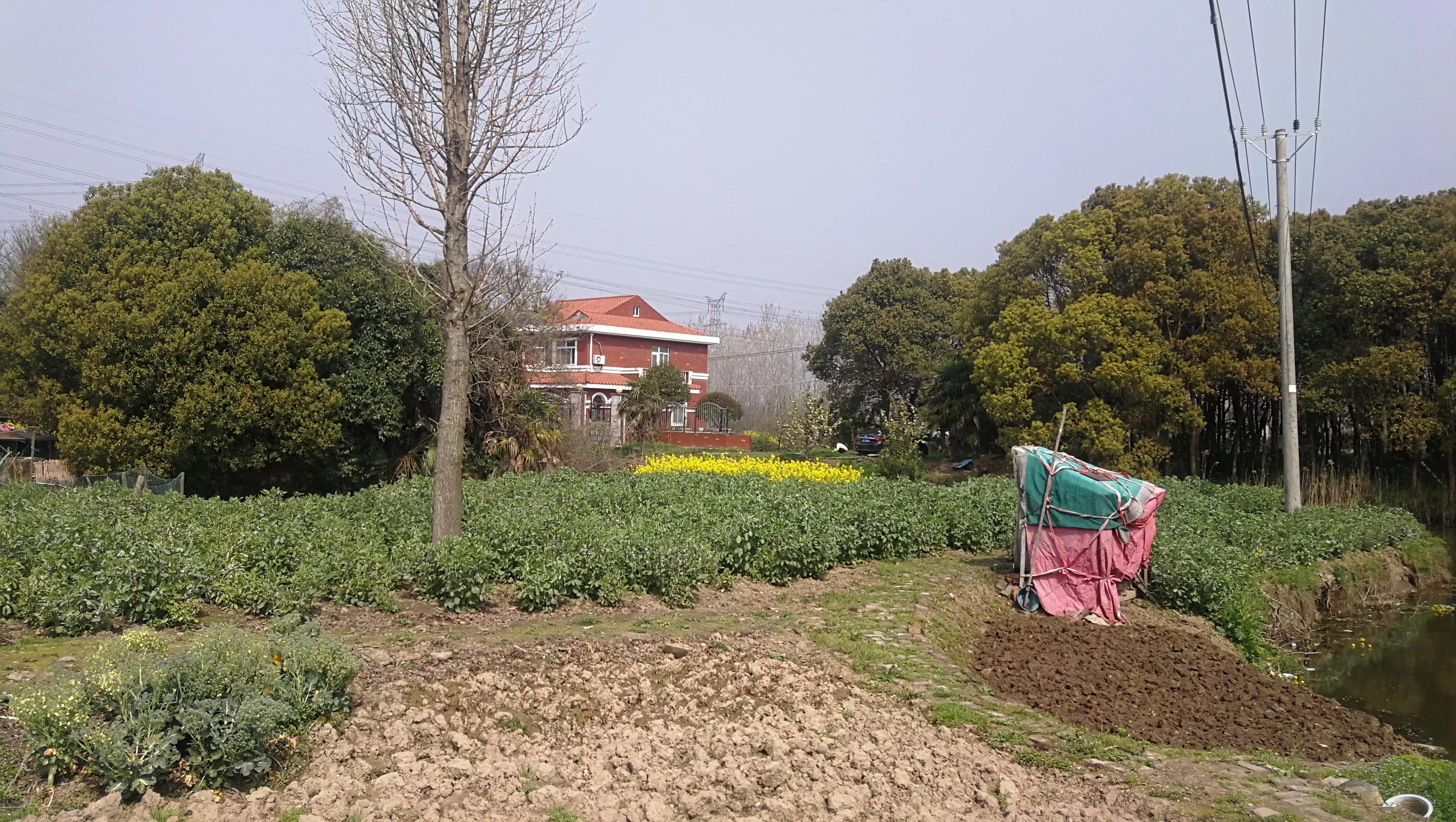 张家港塘桥最新规划发布，一场拥抱自然美景的旅行邀请