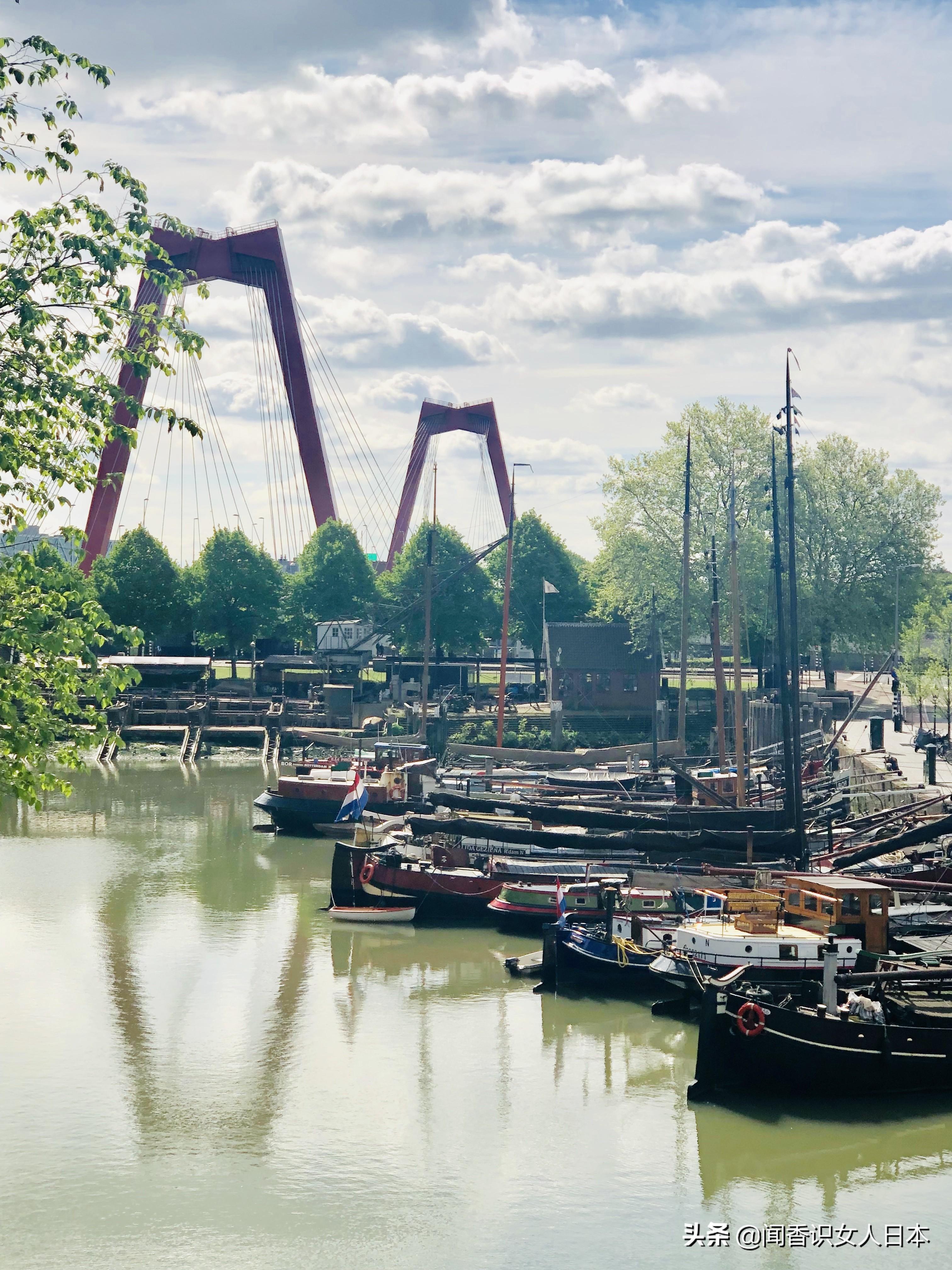 2024年12月 第2页