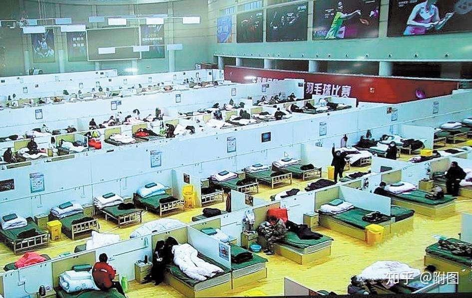 北美最新新冠疫情动态下的自然美景之旅，寻找内心的宁静与平和