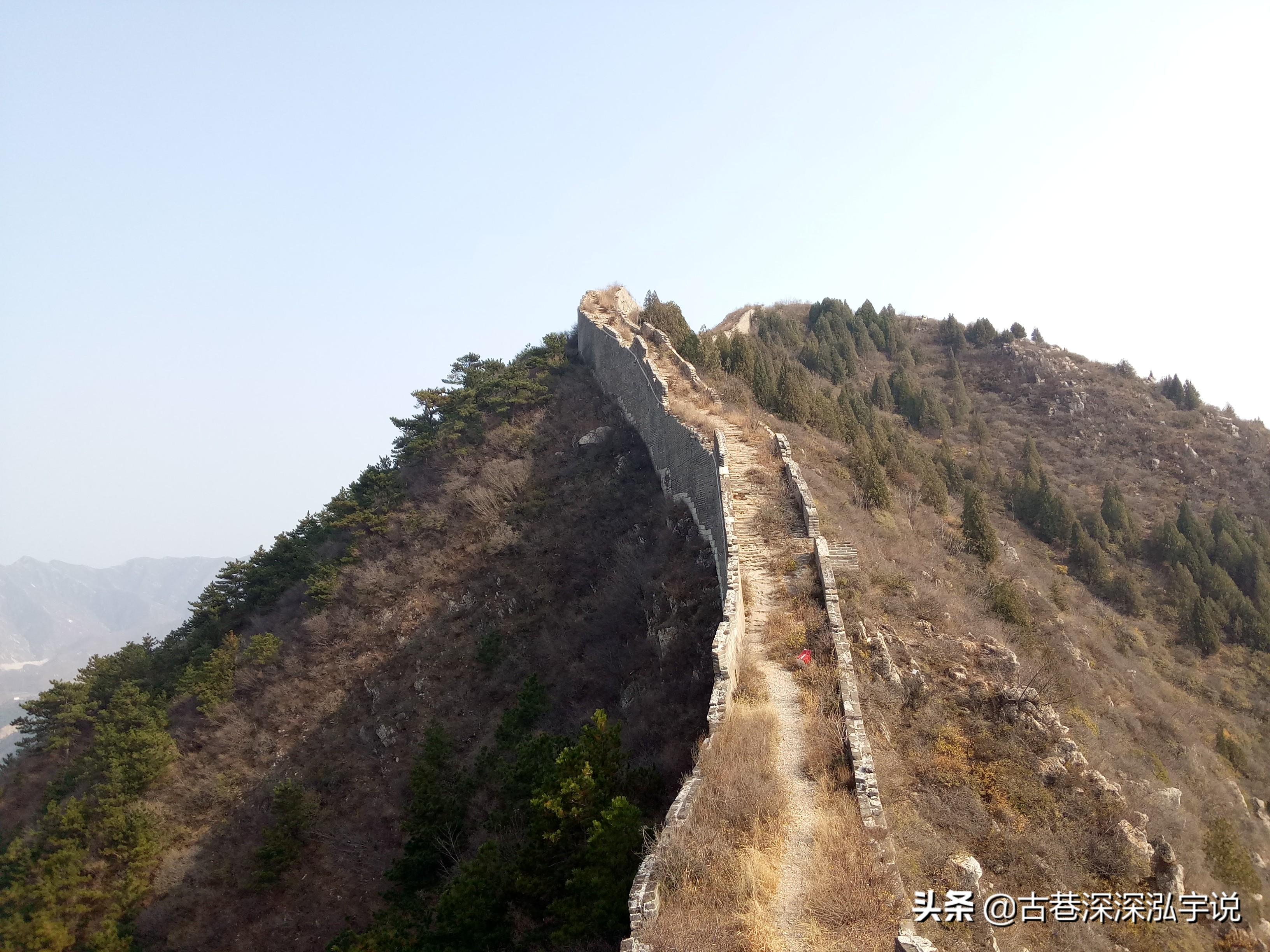 野孩子电影在线观看，学习变化中的自信与成就感