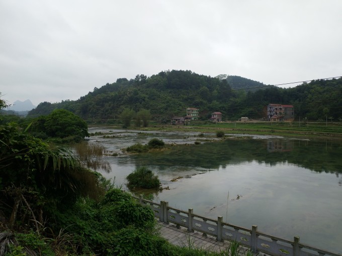 樾梅江最新资讯，探索自然美景的旅行，寻找内心的平和