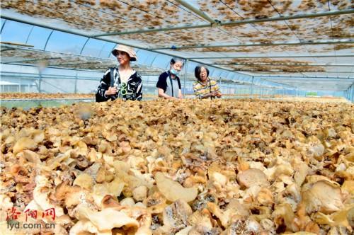 小货车新车价格大解密你的创业好帮手，小货车选购指南！