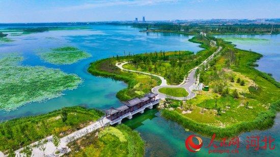 雄安新区最新资讯，探索自然美景，重拾内心的宁静之旅