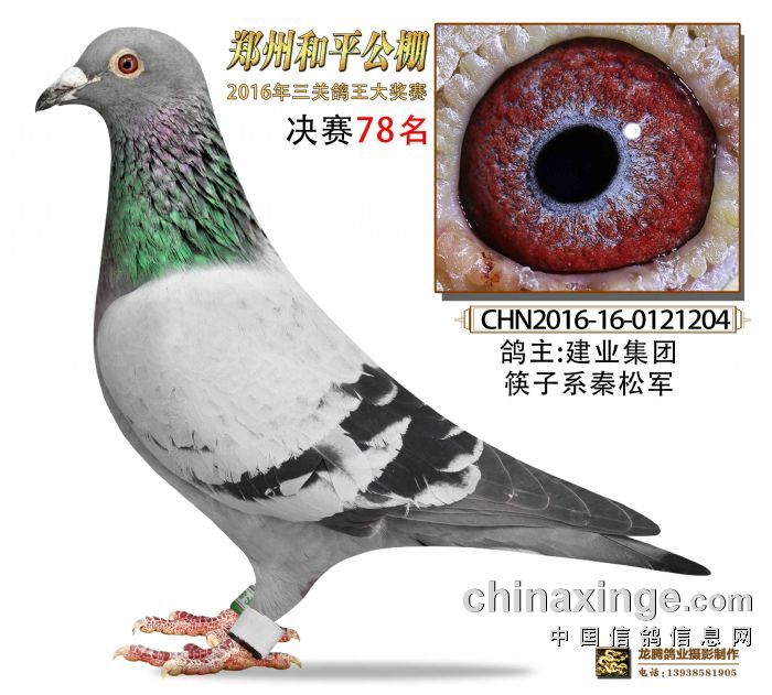 和平公棚最新通告