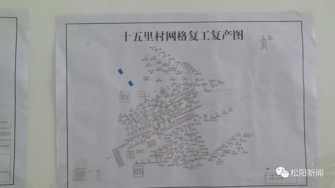 松阳疫情最新情况，疫情下的温情日常