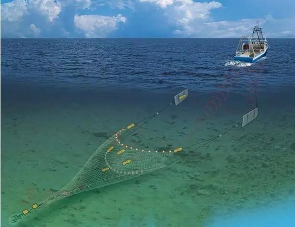 最新渔网技术，革新海洋捕捞业的关键力量