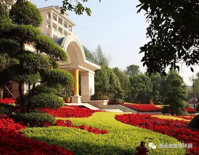 清泉广场最新动态