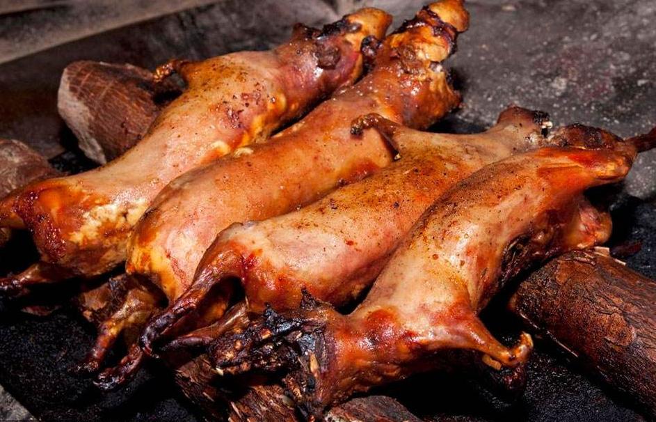 湛江田鼠收购信息，学习变化，自信成就梦想