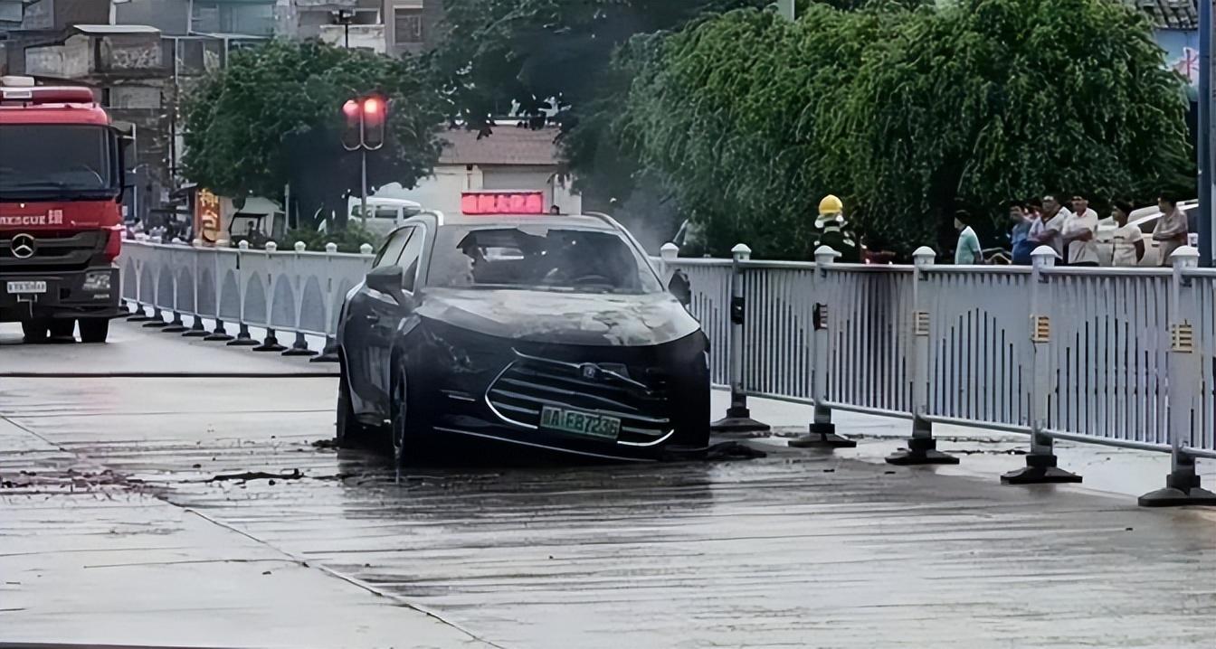 全球上市公司市值排名，深度解析与观点阐述