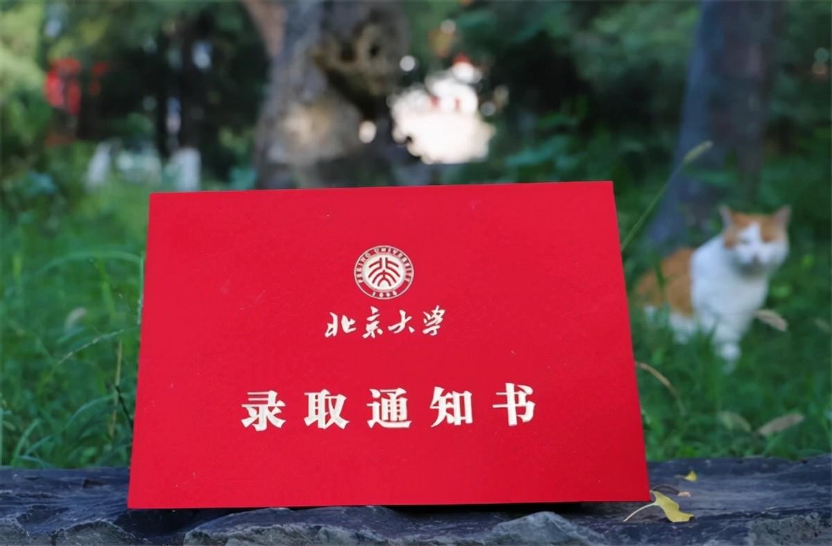 北大失踪女硕士最新进展，一场心灵之旅，重拾平静之美