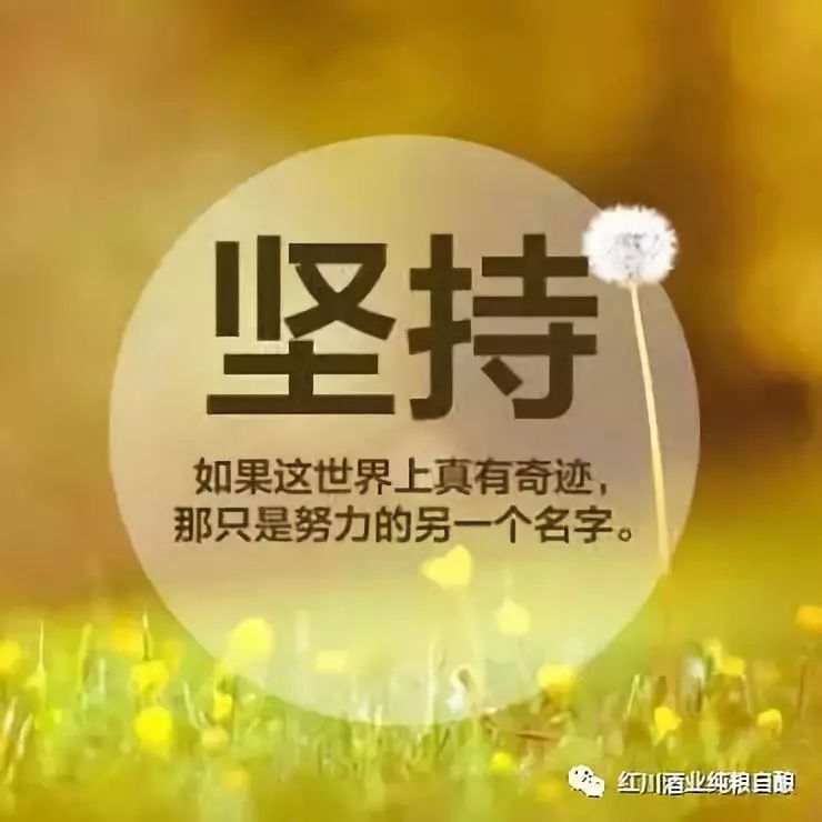 最新网络剧集，自信与成就感的源泉，励志与幽默并存