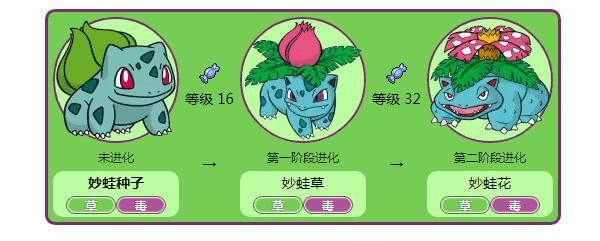 她有新动态，不断进化的勇气与学习的魅力