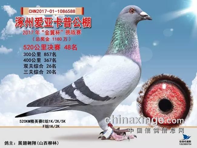 晋祠公棚最新资讯，观点论述