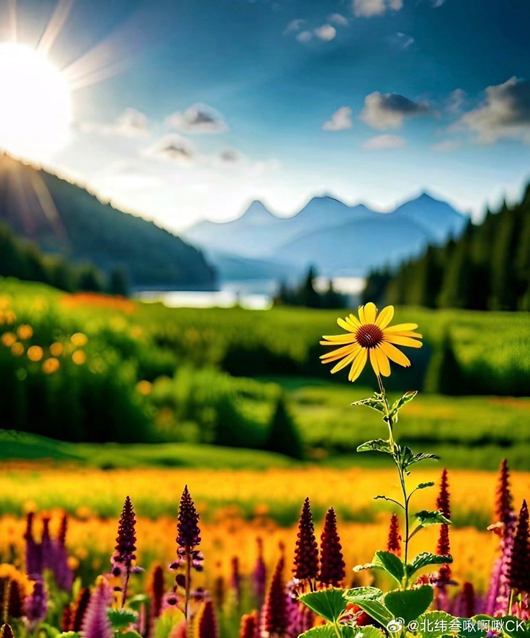 小董新作，与自然美景的邂逅，寻找内心的平和与喜悦