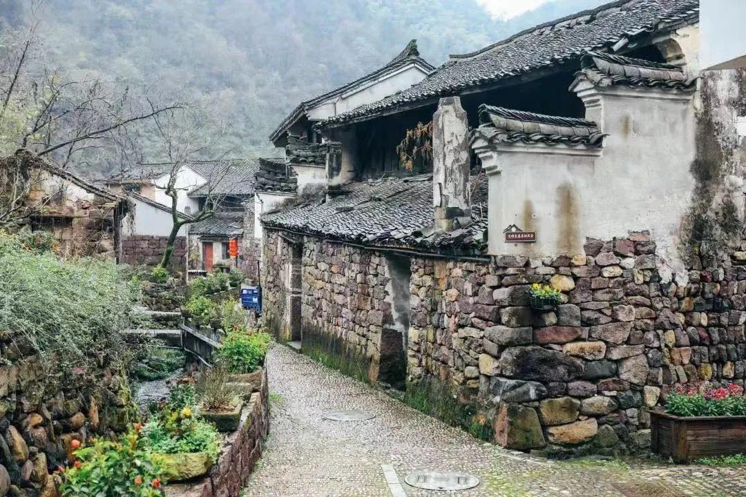 紫屋最新，背景、事件与地位的深度剖析