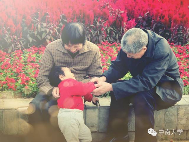 天涯时事最新，故事传递爱与陪伴的温馨瞬间