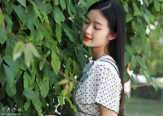 公证最新动态，与自然美景的亲密邂逅，寻找内心的宁静之旅